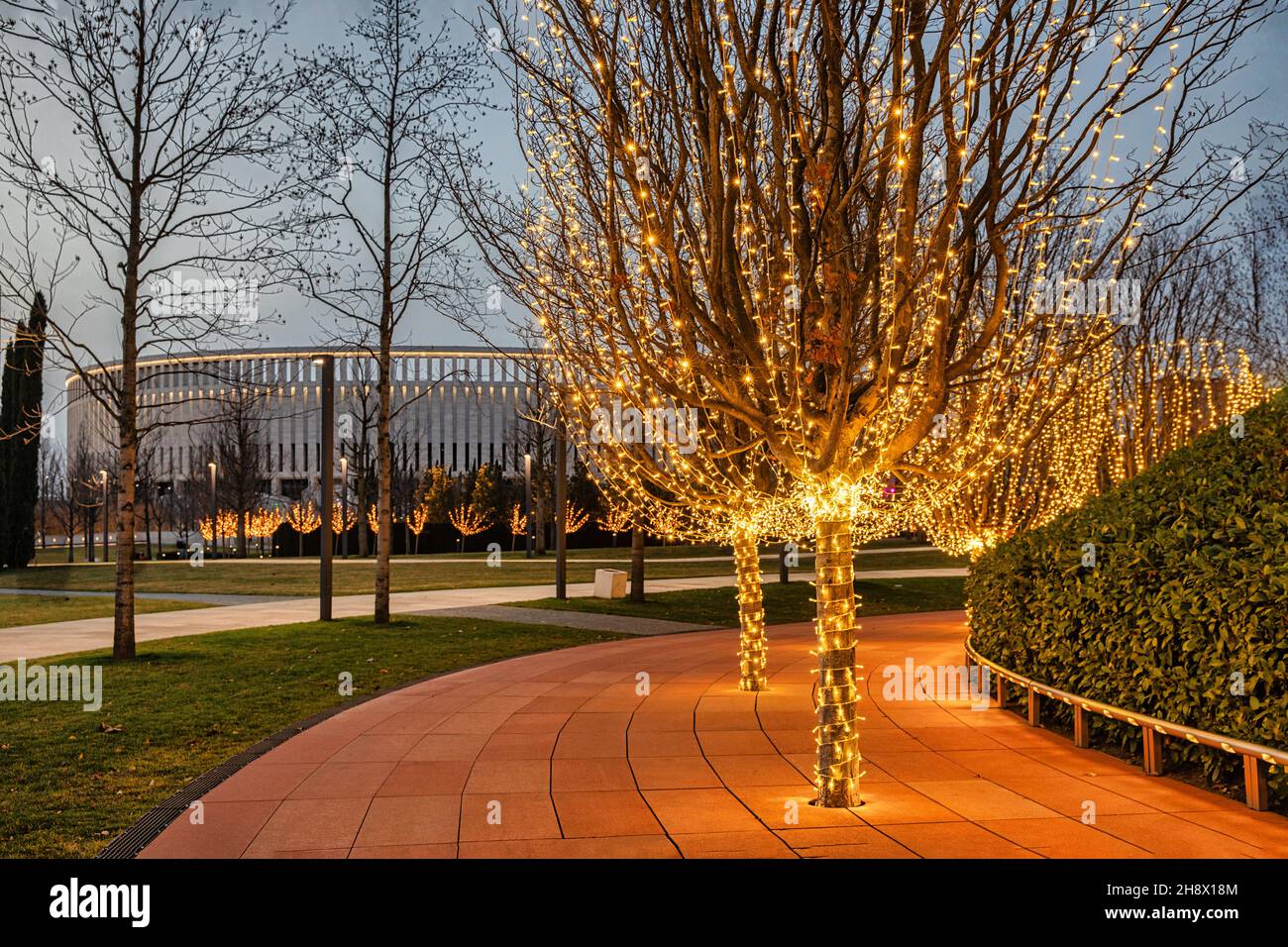Illuminated trees in a park Stock Photo