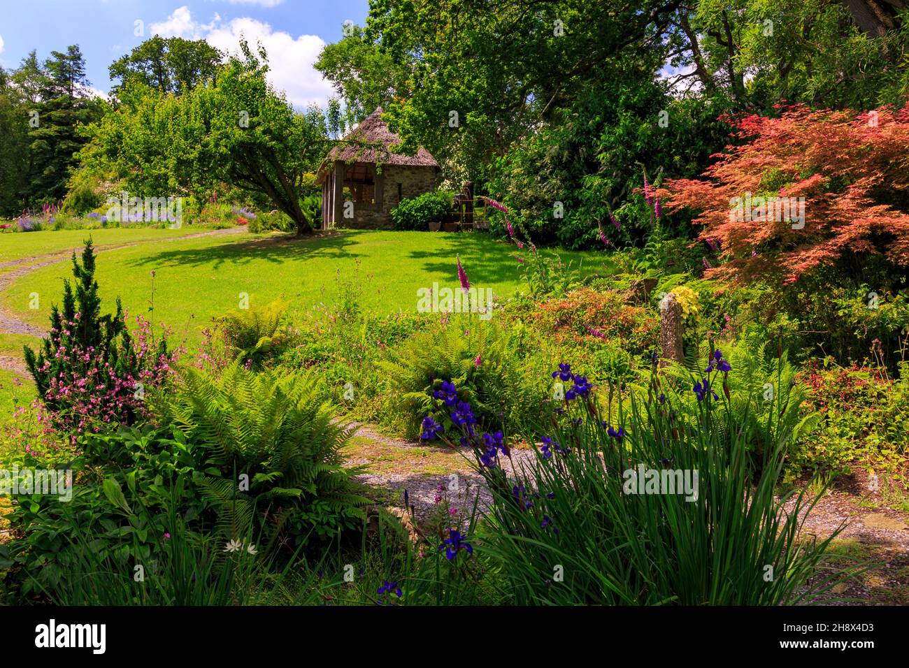 A colourful summer border created by Mary Benger at Burrow Farm Garden, Devon, England, UK Stock Photo