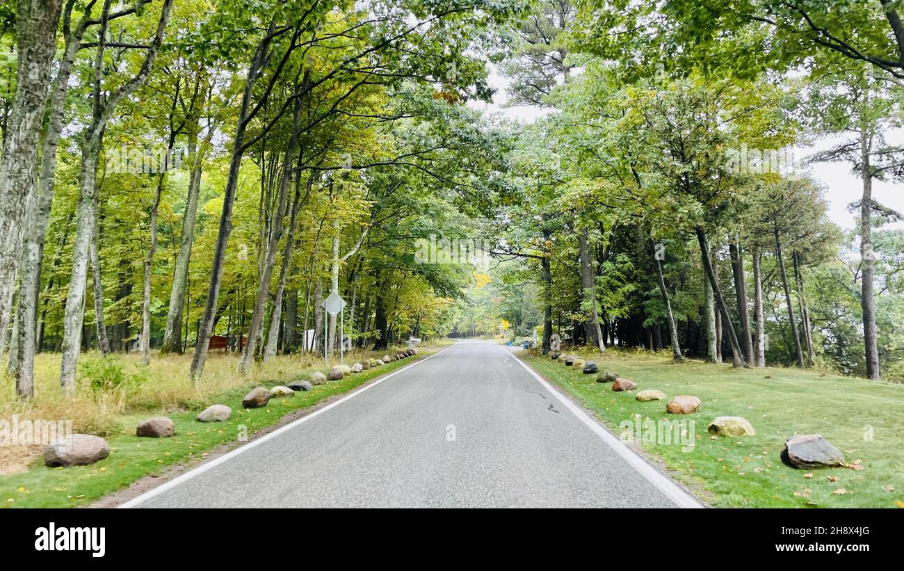 Empty asphalt road lined with green trees in spring Stock Photo - Alamy