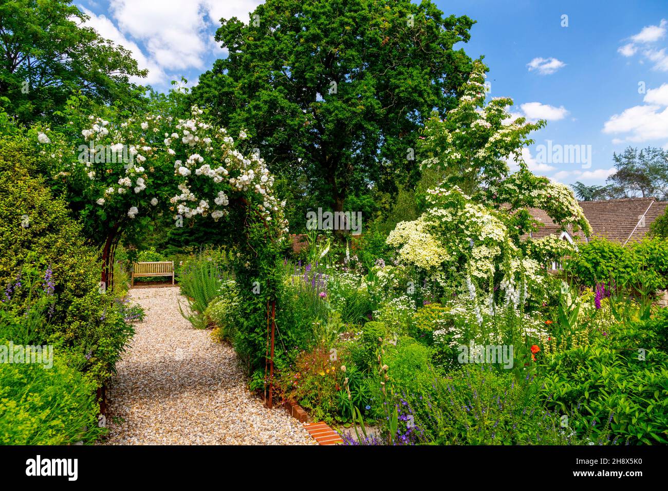 The Terrace Garden at Burrow Farm Garden – created by Mary Benger since 1966 in Devon, England, UK Stock Photo