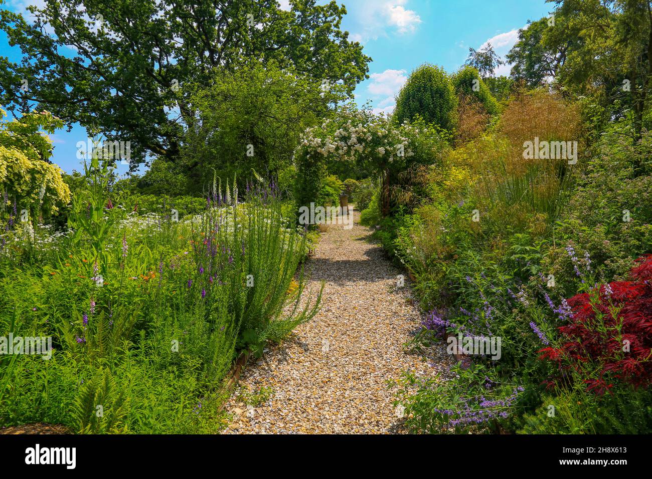 The Terrace Garden at Burrow Farm Garden – created by Mary Benger since ...