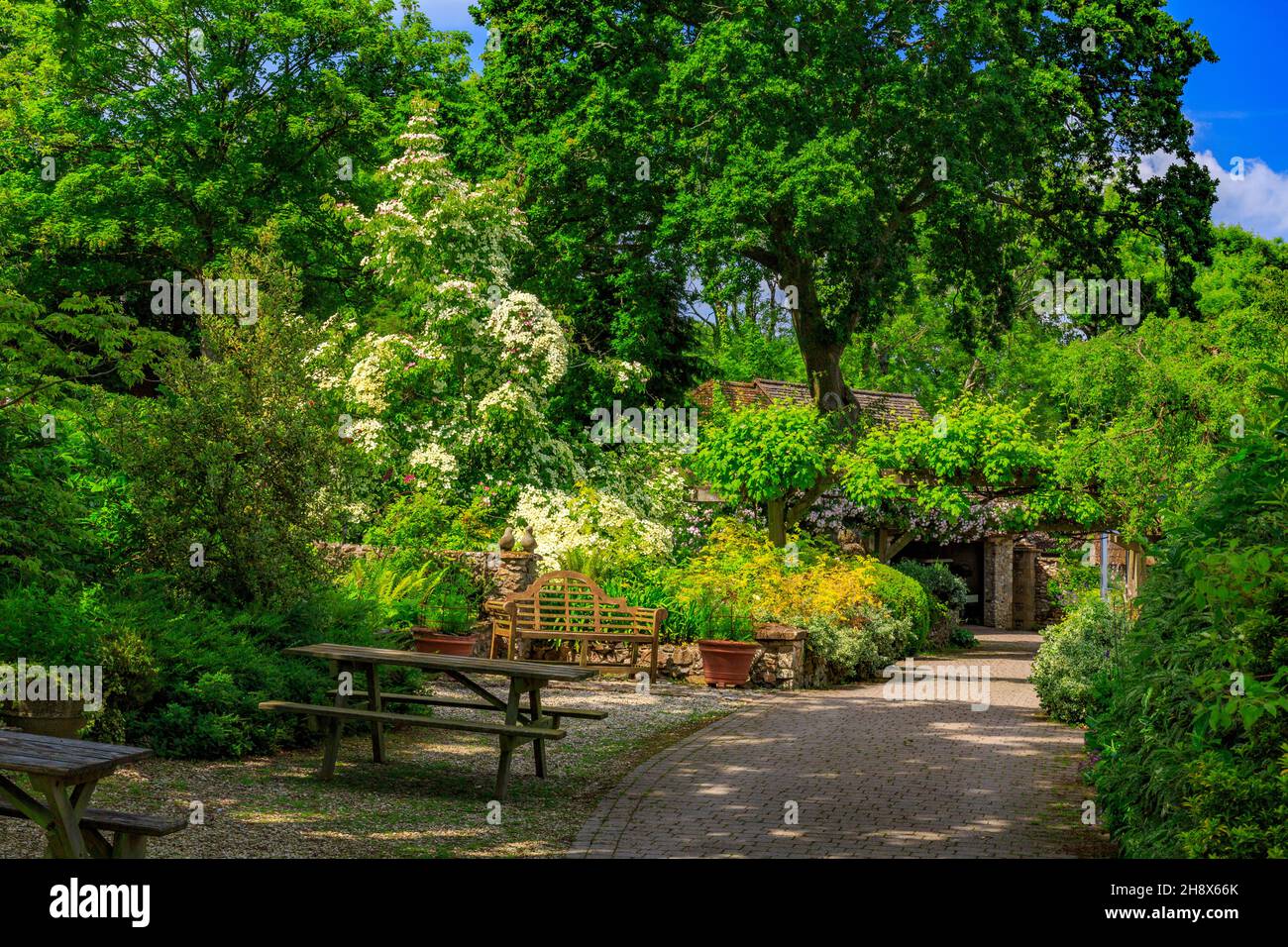 The Terrace Garden at Burrow Farm Garden – created by Mary Benger since ...