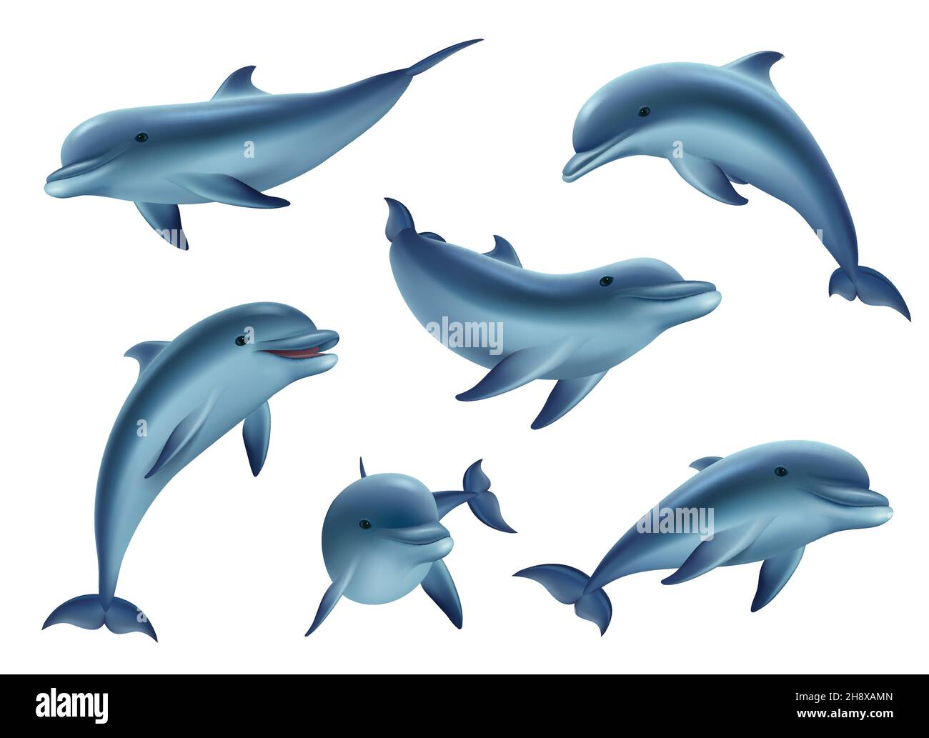 Swim dolphins. Aquarium or ocean underwater marine animals big funny and kind fishes decent vector 3d dolphins in action poses Stock Vector