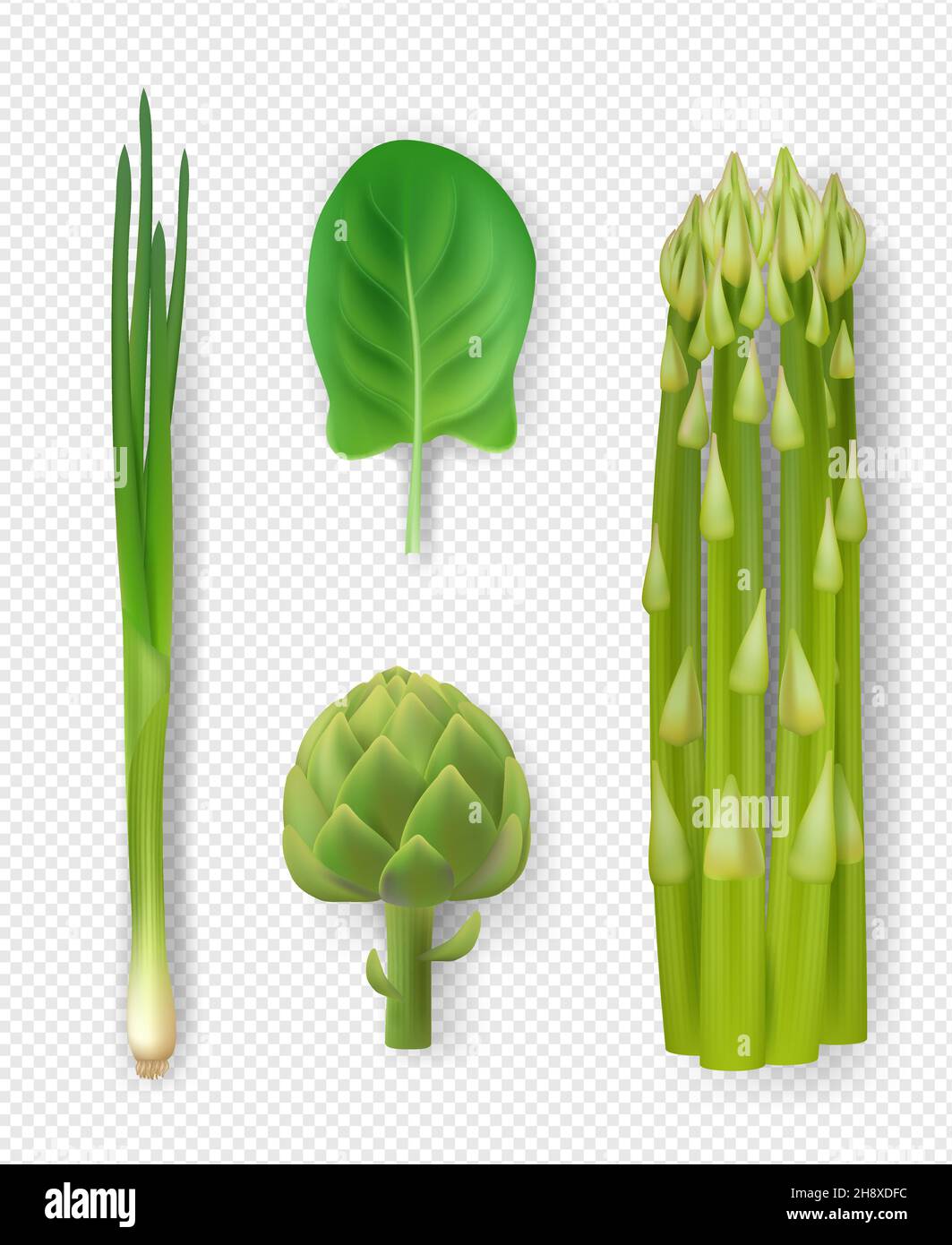 Green vegetables. Fresh organic natural products delicious food green salad leaf onion broccoli decent vector realistic collection Stock Vector
