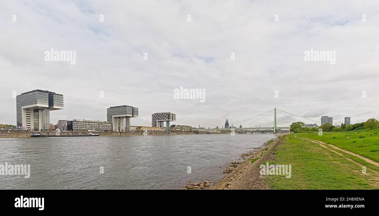 Meadow with hiking trail in Poller Wiesen park along river River Rhine with  Kranhaus buildings, on the other side Cologne, Germany. Stock Photo