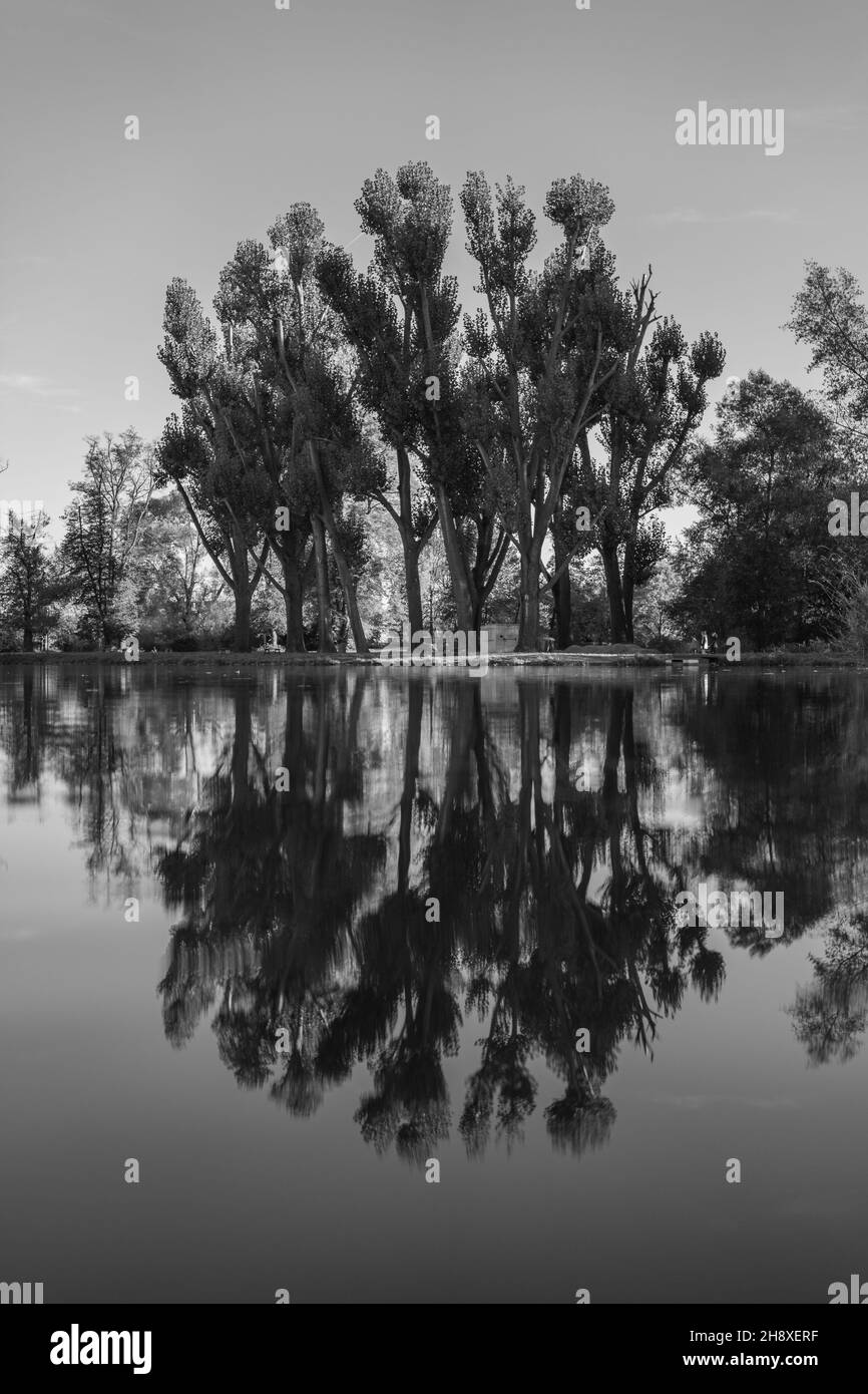 Grayscale shot of a lake with the reflection of trees Stock Photo - Alamy