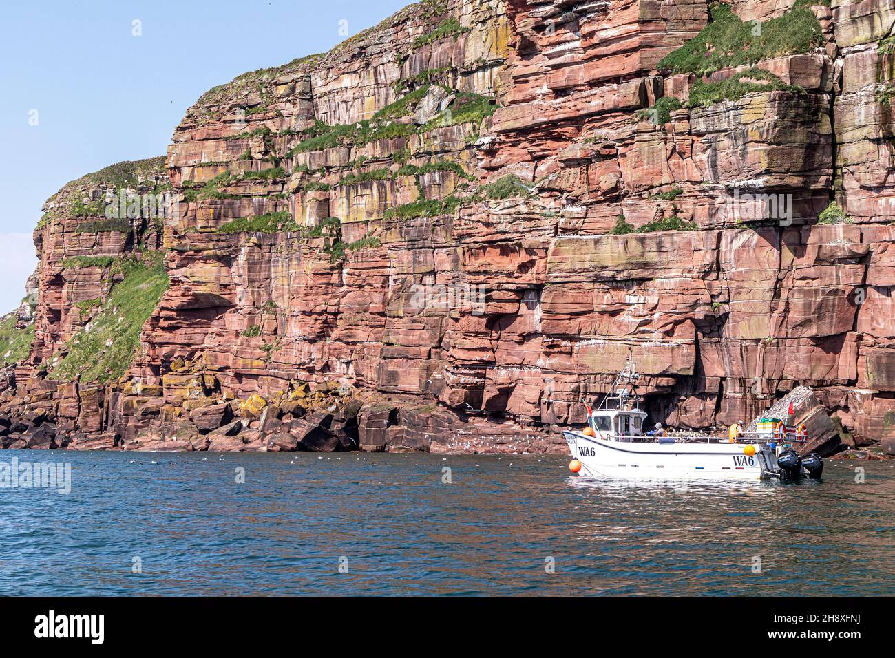 A fishing boat alongside the sandstone cliffs of St Bees Head, Cumbria UK Stock Photo