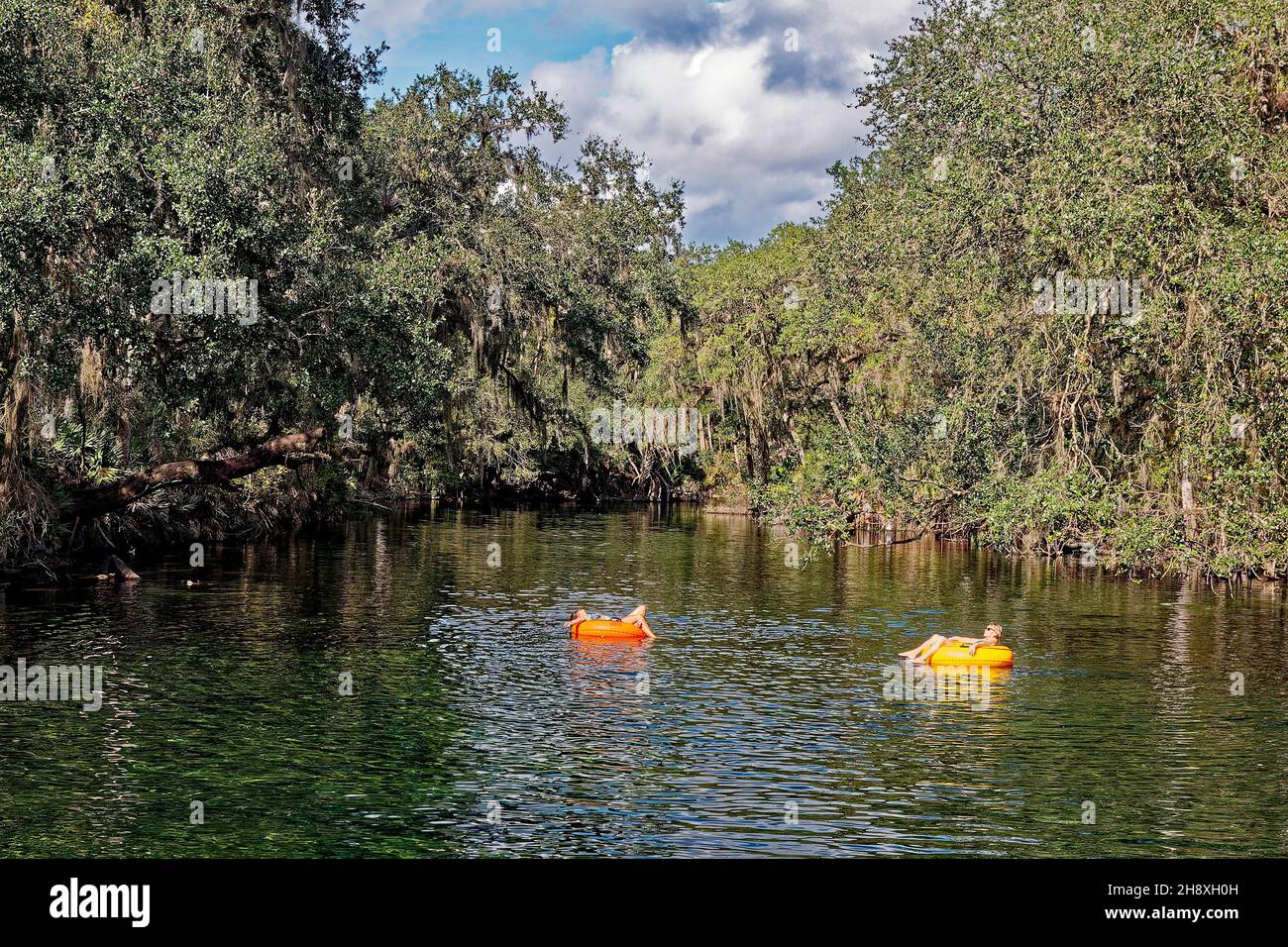 2 women tubing, St. Johns River, tranquil, relaxing, slow moving water, trees, Blue Spring State Park; Florida; Orange City; FL; autumn Stock Photo