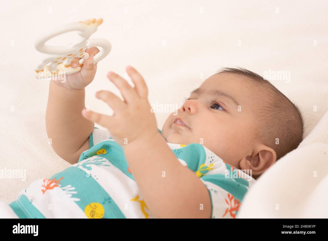 3 month old baby boy closeup on back looking up at toy he holds in his hand, moving other hand to grasp it, playing with spit, bubbling Stock Photo