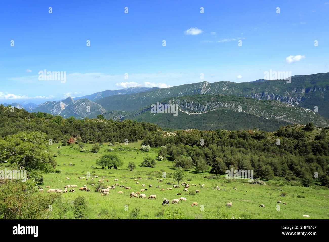 Arriere pays Grassois, Parc regional des Prealpes d'Azur, Alpes Martimes,  06, Region sud Stock Photo - Alamy, image size:1300x956