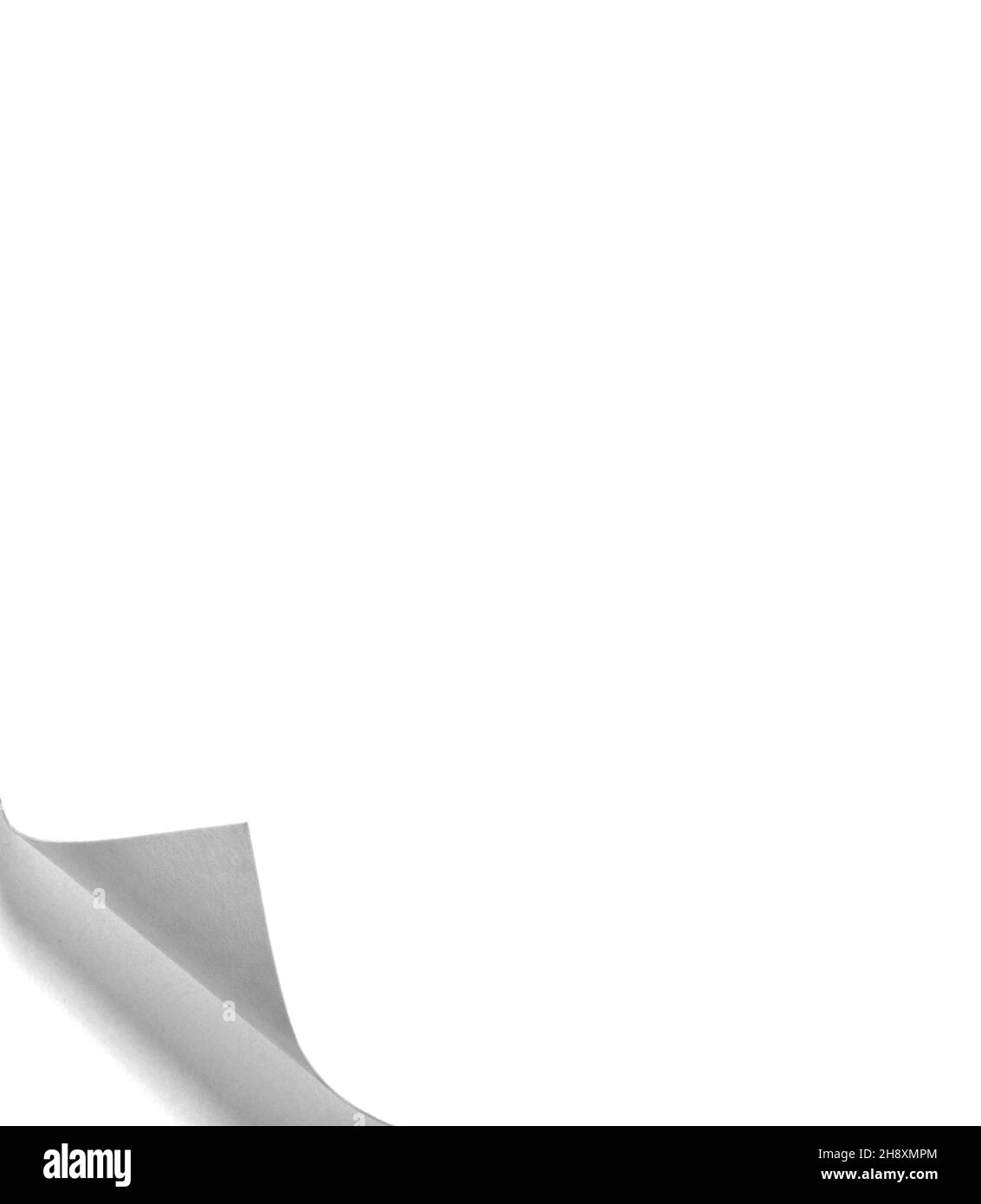 paper with curl blank page document corner background note empty white