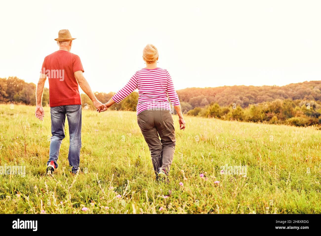 woman man outdoor senior couple happy lifestyle retirement together smiling love old nature mature back view walking future hope happy holding hands Stock Photo