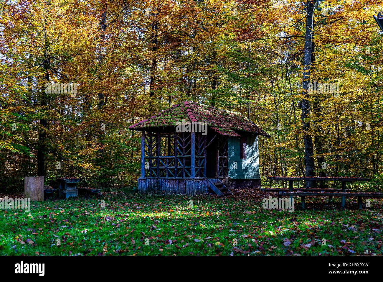 Wooden hut with benches in the forest Stock Photo