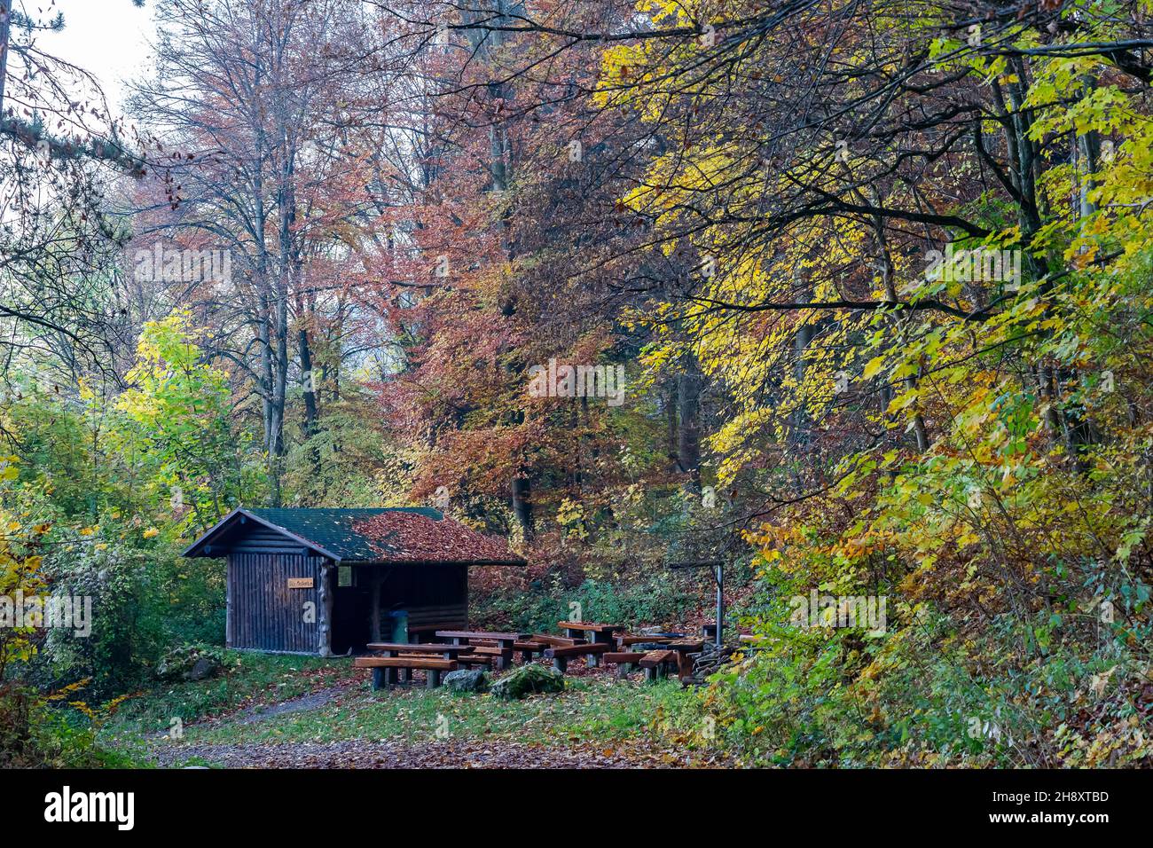 Wooden hut with benches in the forest Stock Photo