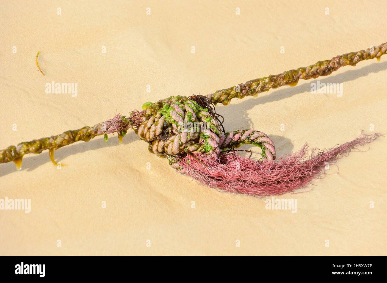 Sand background with slimed rope Stock Photo Alamy