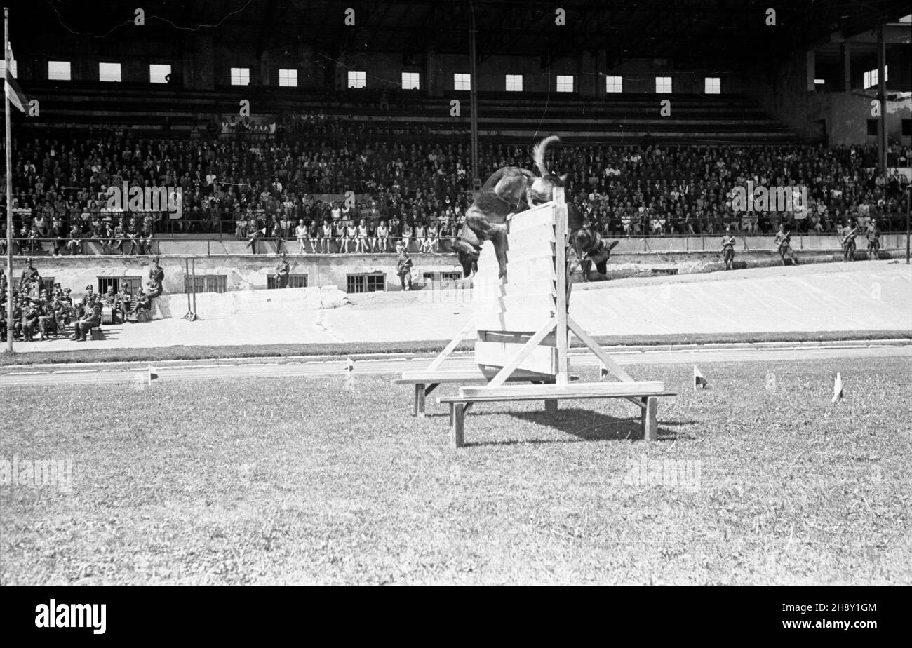 Warszawa, 1946-05-25. Obchody I rocznicy utworzenia Korpusu Bezpieczeñstwa Wewnêtrznego. Nz. pokaz umiejêtnoœci psów s³u¿bowych na stadionie Wojskowego Klubu Sportowego Legia. po/ms  PAP      Warsaw, May 25, 1946. Ceremonies marking the 1st anniversary of the Internal Security Corps. Pictured: a dog training show at the stadium of the Military Sports Club Legia.  po/ms  PAP Stock Photo