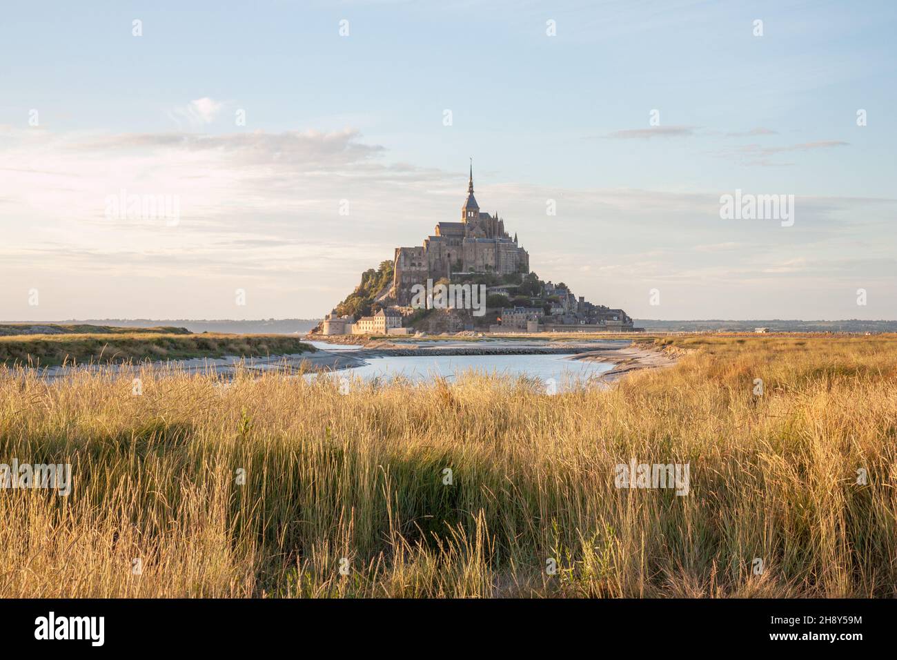 Mont Saint-Michel looking over some long grass at the mouth of the Couesnon river, France Stock Photo