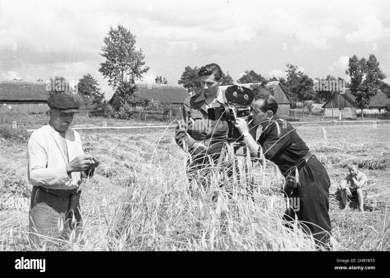 Nieszawa, 1946-07-16. Rolnik sprawdza wilgotnoœæ ziaren ¿yta podczas krêcenia przez pracowników Polskiej Kroniki Filmowej filmu o ¿niwach. Z prawej z kamer¹ W³adys³aw Forbert, obok operator Mieczys³aw Wiesio³ek. gr  PAP/Bogus³aw Lambach      Nieszawa, July 16, 1946. A farmer checks the the moistness of rye seeds while cameramen of the Polish Newsreel shoot a documentary about crop harvesting. From right Wladyslaw Forbert with a camera and beside him cameraman Mieczyslaw Wiesiolek.  gr  PAP/Boguslaw Lambach Stock Photo