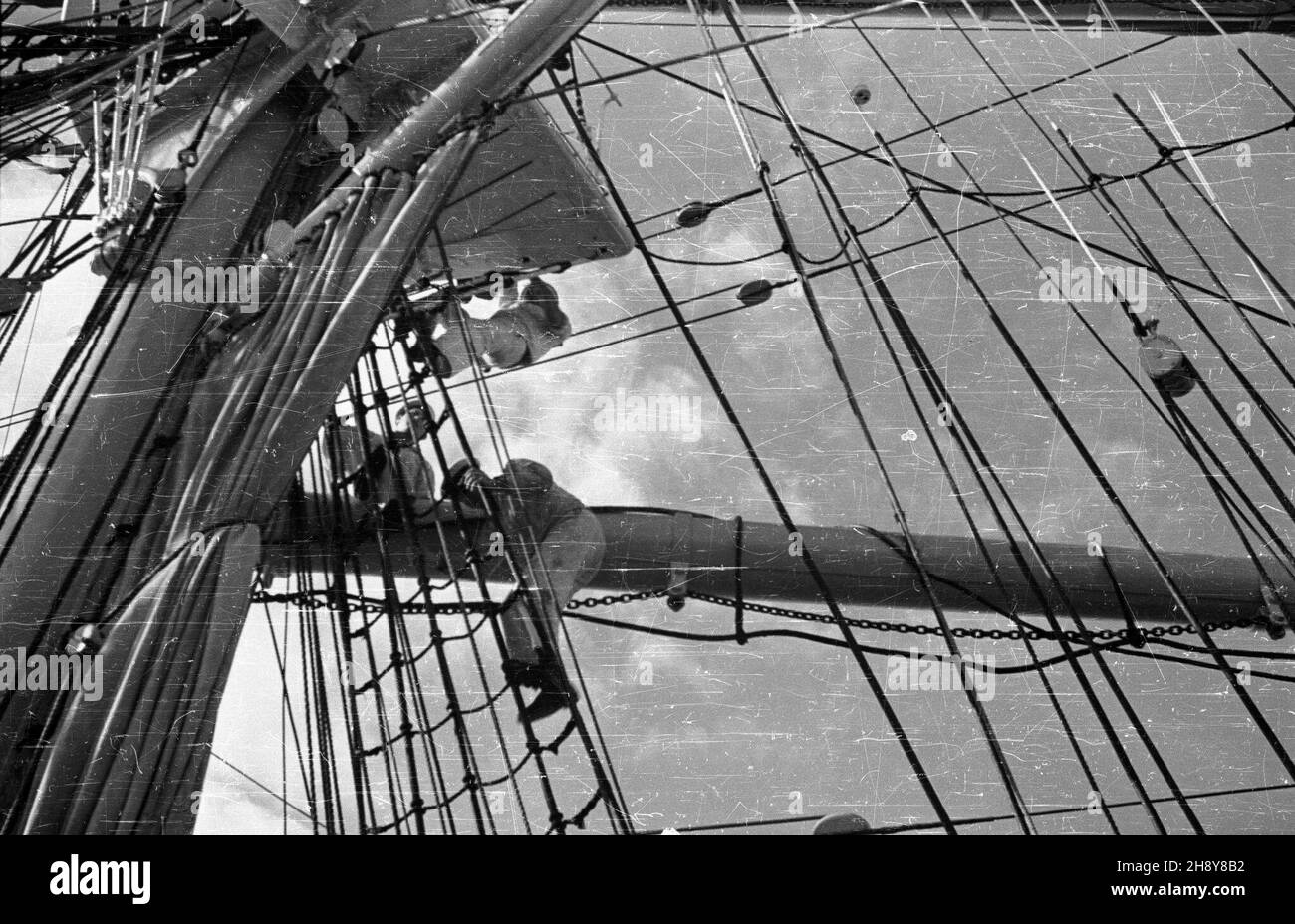Gdynia, 1946-07-16. Przygotowania na statku szkoleniowym polskiej marynarki handlowej Dar Pomorza, przed jego pierwszym powojennym rejsem do Marsylii we Francji. Nz. marynarze wspinaj¹cy siê po rejach. ps/ms  PAP/Miko³aj Sprudin      Gdynia, July 16, 1946. Preparations aboard Dar Pomorza Polish Merchant Navy training ship for its first post-war trip to Marseille, France. Pictured: sailors climb the yards.  ps/ms  PAP/Mikolaj Sprudin Stock Photo