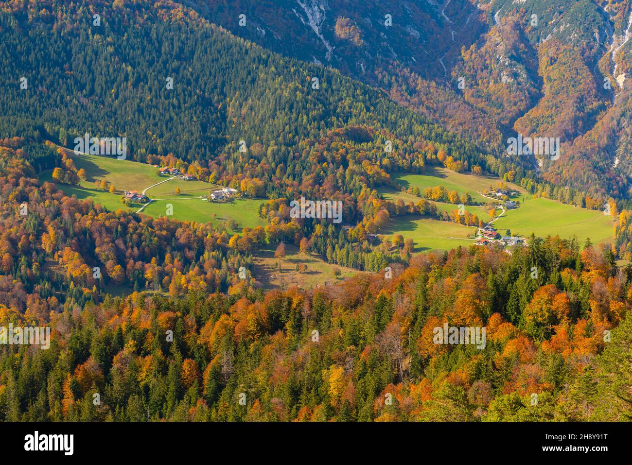 View  onto valley with ams and pastures from Mt. Kneifelspitz 1168m asl,  Maria Gern, Berchtesgaden, Upper Bavaria, Southern Germany Stock Photo