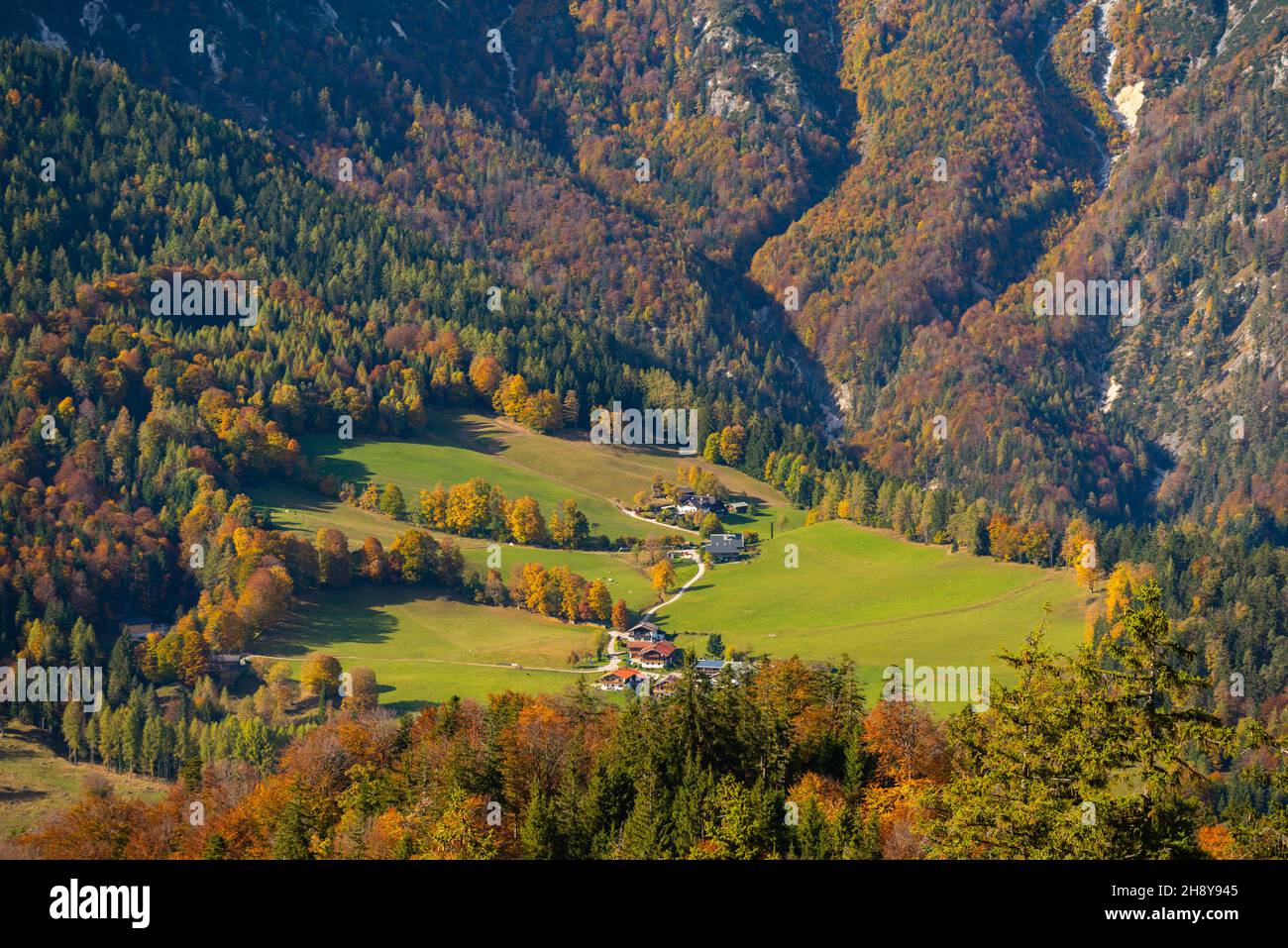 View  onto valley with ams and pastures from Mt. Kneifelspitz 1168m asl,  Maria Gern, Berchtesgaden, Upper Bavaria, Southern Germany Stock Photo