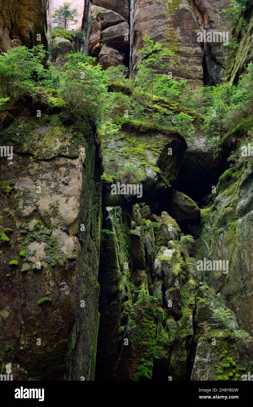 Rocky ravine with stone blocks covered with moss and shrubs - natural ...