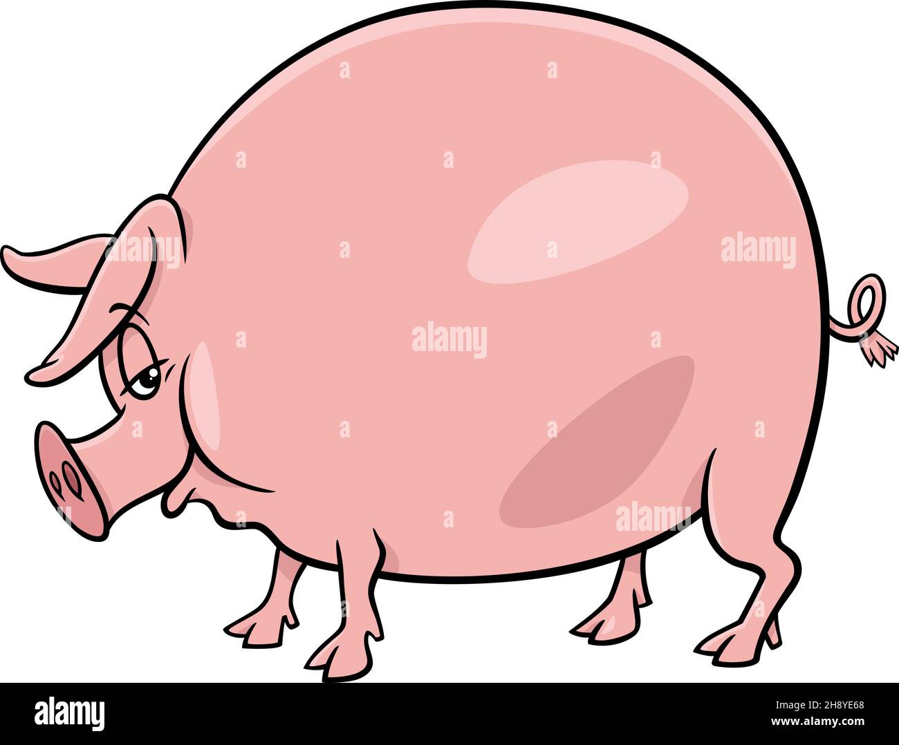 Cartoon illustration of pig comic farm animal character Stock Vector Image  & Art - Alamy