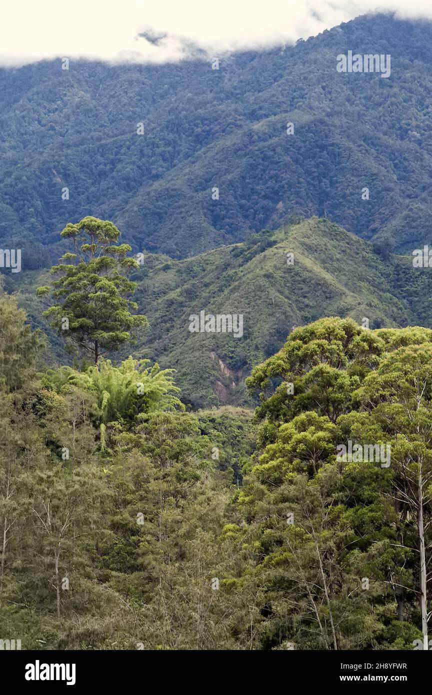 Papua New Guinea; Eastern Highlands; Goroka; Namta (Mefenga); typical mountain landscape in Papua; typische Berglandschaft in Papua; krajobraz górski Stock Photo