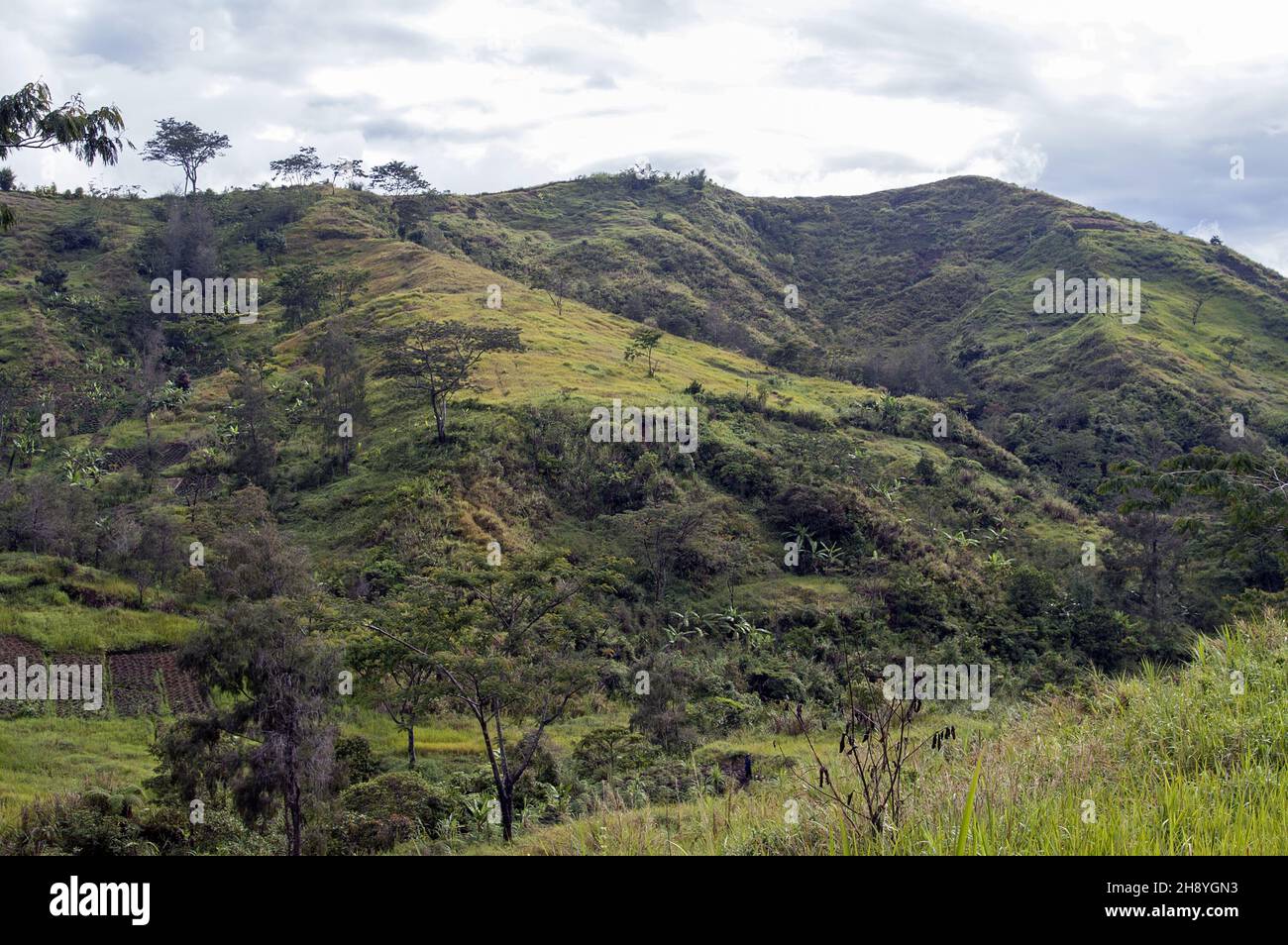Papua New Guinea; Eastern Highlands; Goroka; Namta (Mefenga); typical mountain landscape in Papua; typische Berglandschaft in Papua; krajobraz górski Stock Photo