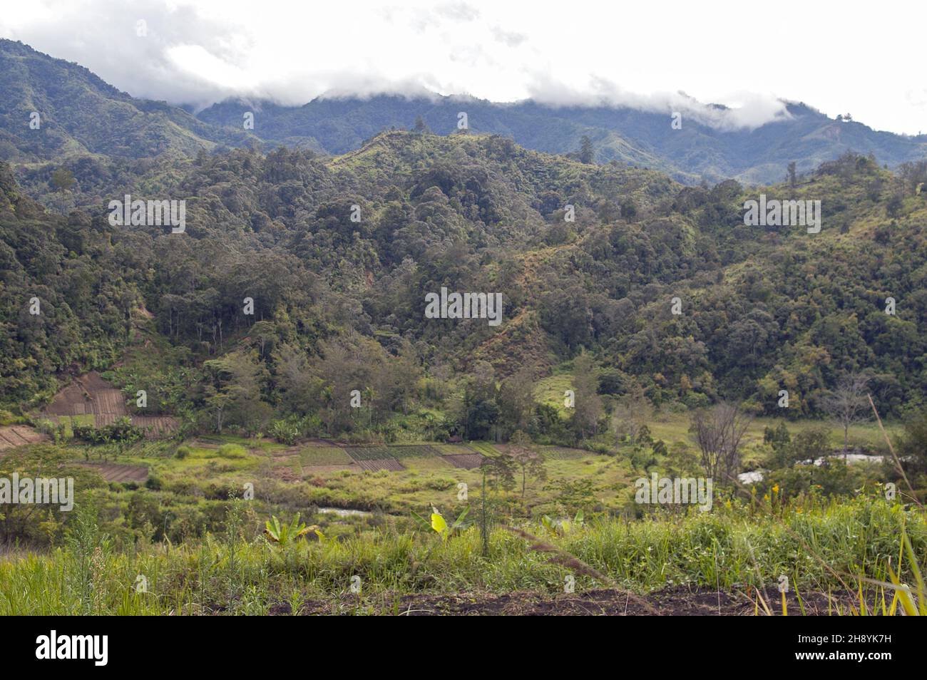 Papua New Guinea; Eastern Highlands; Goroka; Namta (Mefenga); typical mountain landscape in Papua; typische Berglandschaft in Papua; krajobraz górski Stock Photo