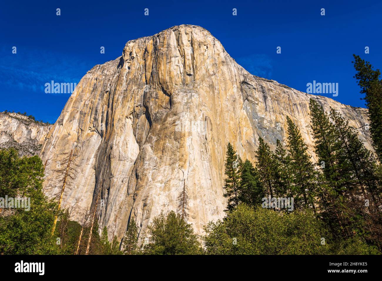 El Capitan, Yosemite Valley, Yosemite National Park, California USA