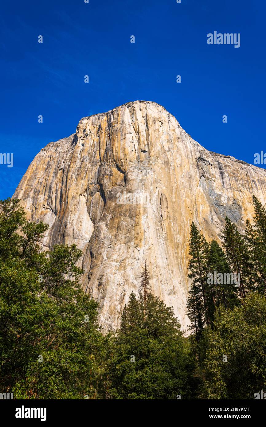 El Capitan, Yosemite Valley, Yosemite National Park, California USA ...