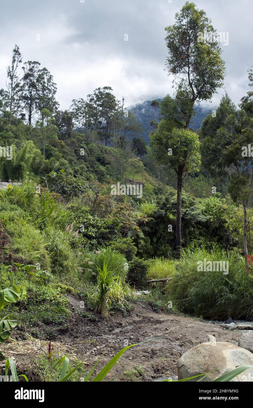 Papua New Guinea; Eastern Highlands; Goroka; Namta (Mefenga); typical mountain landscape in Papua; typische Berglandschaft in Papua; krajobraz górski Stock Photo