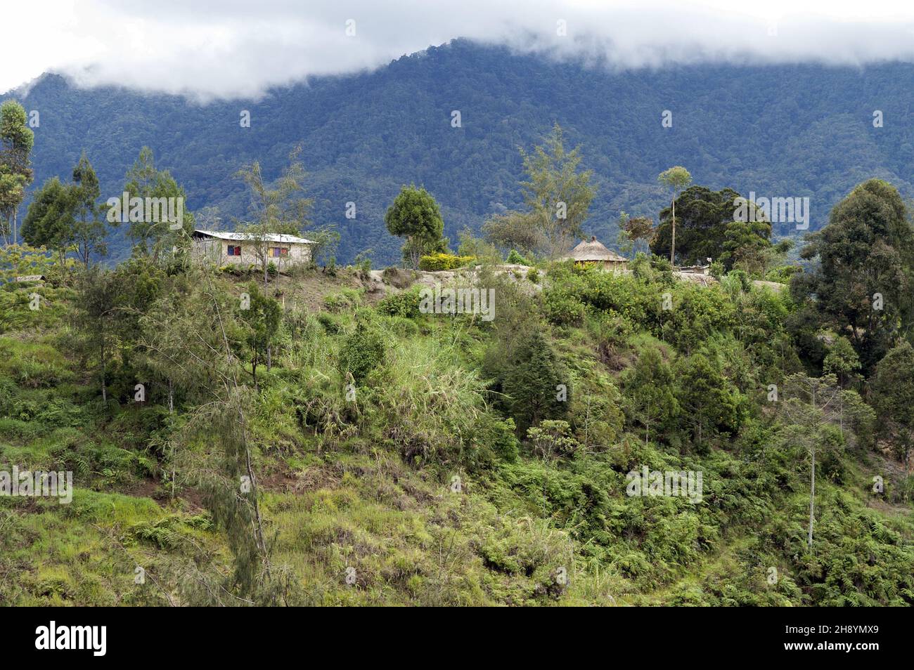 Papua New Guinea; Eastern Highlands; Goroka; Namta (Mefenga); Houses of the Papuans on the slope; Häuser der Papuas am Hang; Hütten vor Bergkulisse Stock Photo