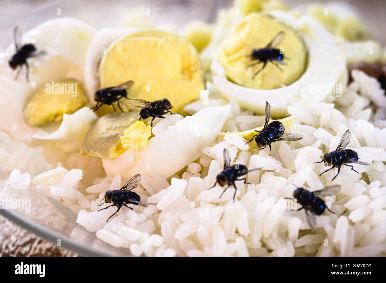 Uncovered Food With Flies uncovered-food-with-flies