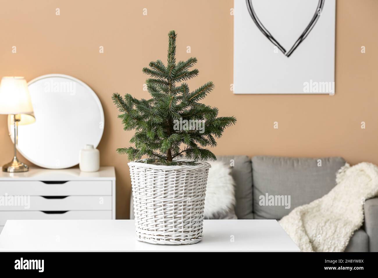 Living christmas tree in pot hires stock photography and images Alamy