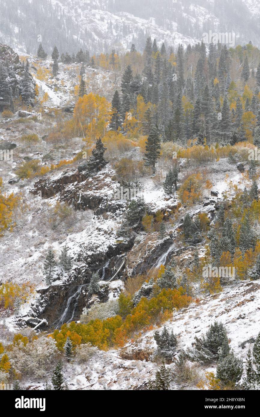 Lundy Canyon waterfall with snow and autumn colors surrounding it Stock Photo