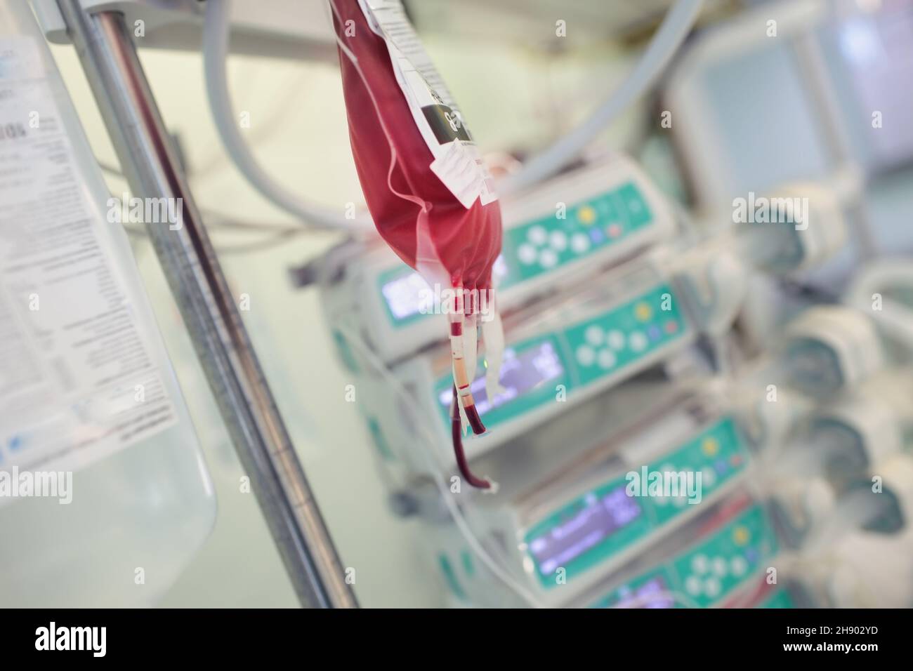 Package with donor blood hanging on a tripod for transfusion in the hospital. Stock Photo