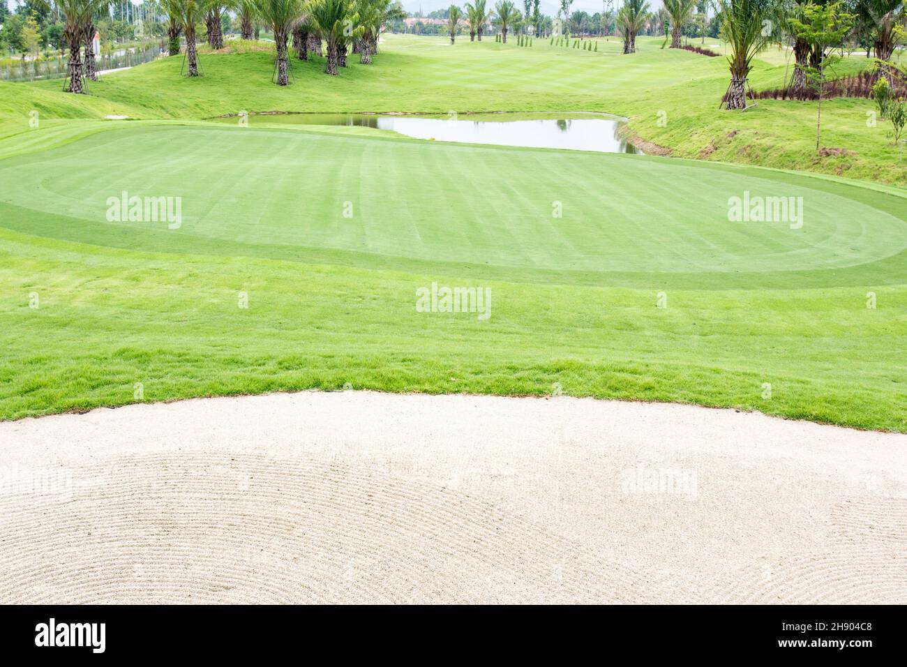 Golf courses , green grass Stock Photo Alamy