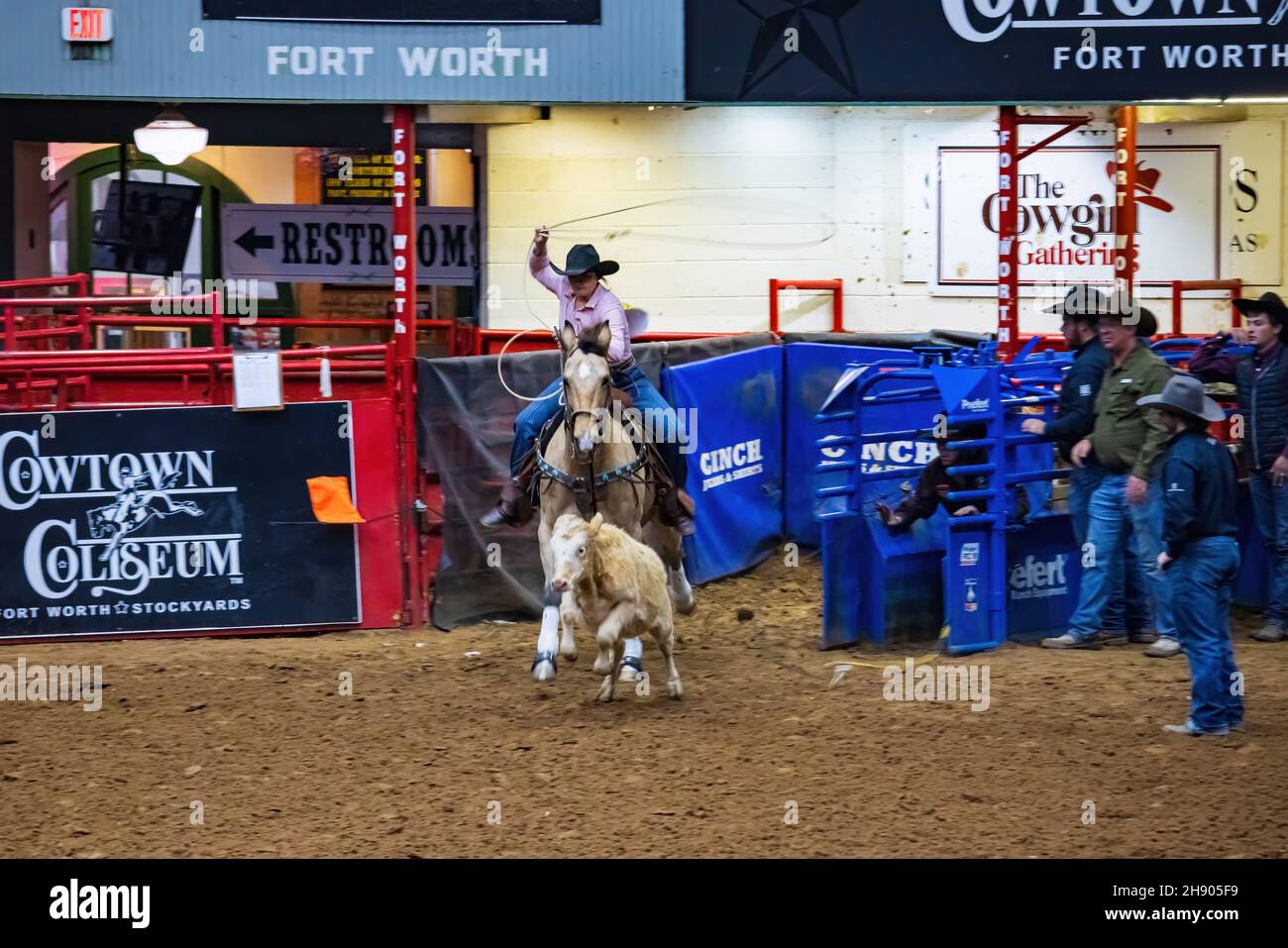 Fort Worth, NOV 27 2021, Calf roping competition in the Stockyards