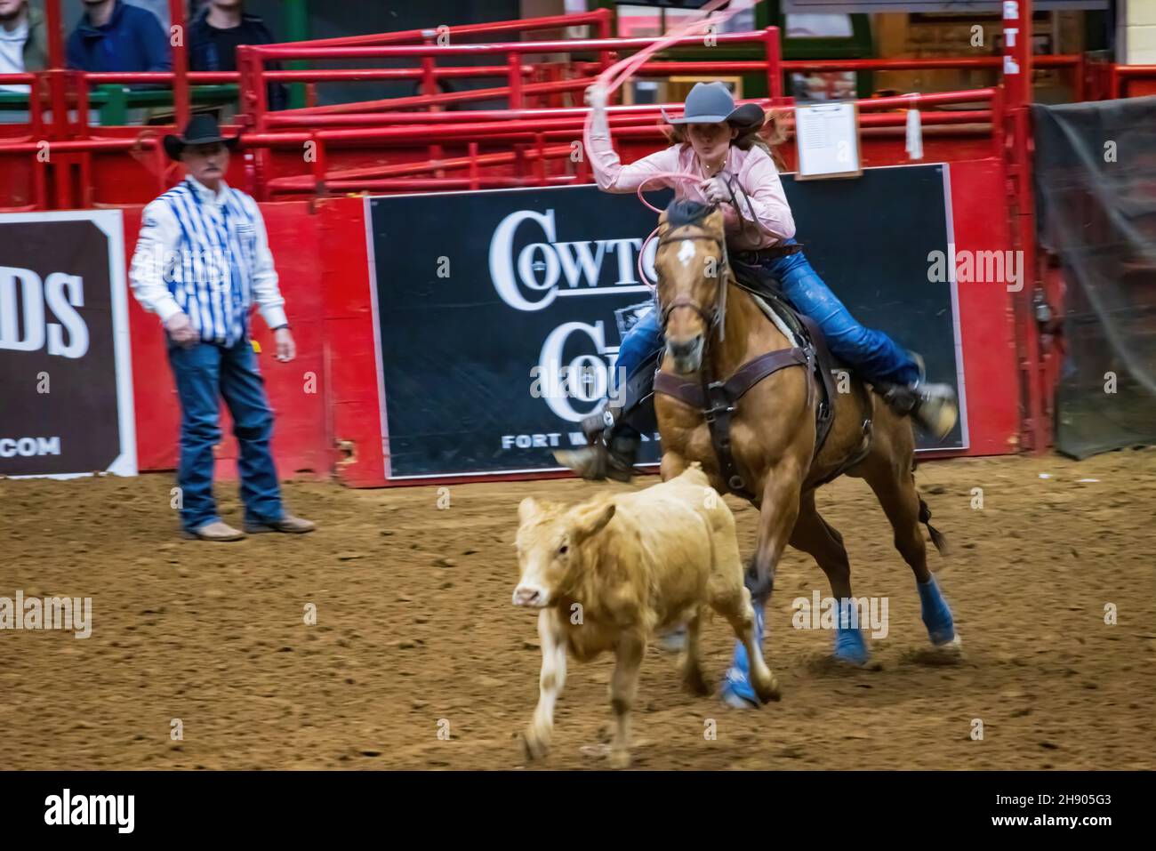 Fort Worth, NOV 27 2021, Calf roping competition in the Stockyards
