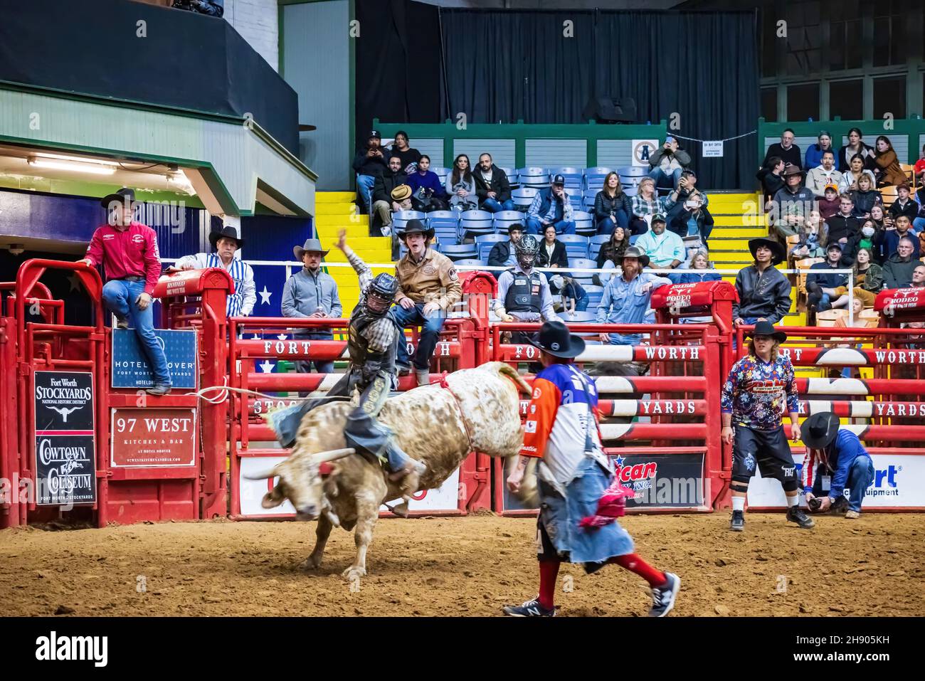 Fort Worth, NOV 27 2021, Bull riding competition in the Stockyards  Championship Rodeo Stock Photo - Alamy