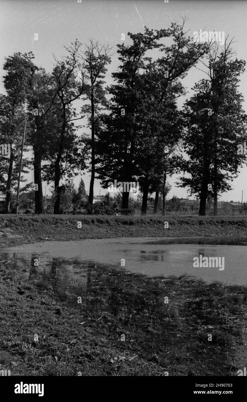 Czersk, 1947. Lato. Na pierwszym planie jezioro Czerskie.  Dok³adny miesi¹c i dzieñ wydarzenia nieustalone.  bk/ak  PAP    Czersk, 1947. Summer. The Czersk Lake in foreground.  bk/ak  PAP Stock Photo