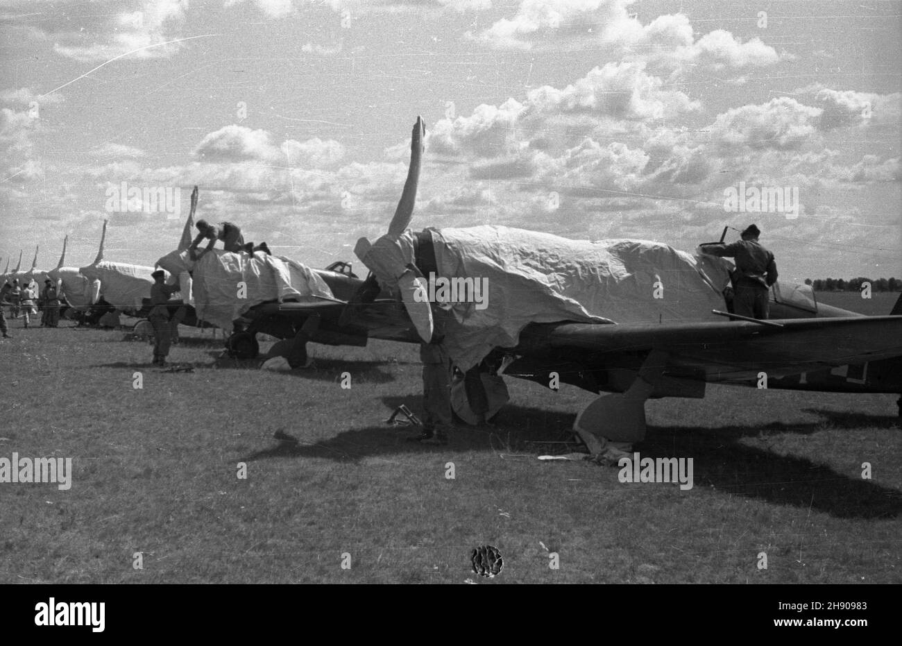 jak wiązać air force