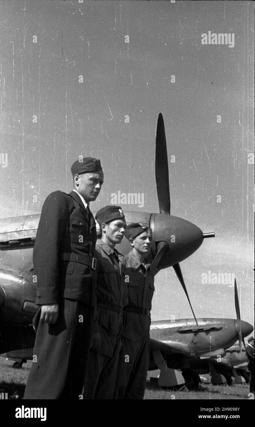 jak wiązać air force