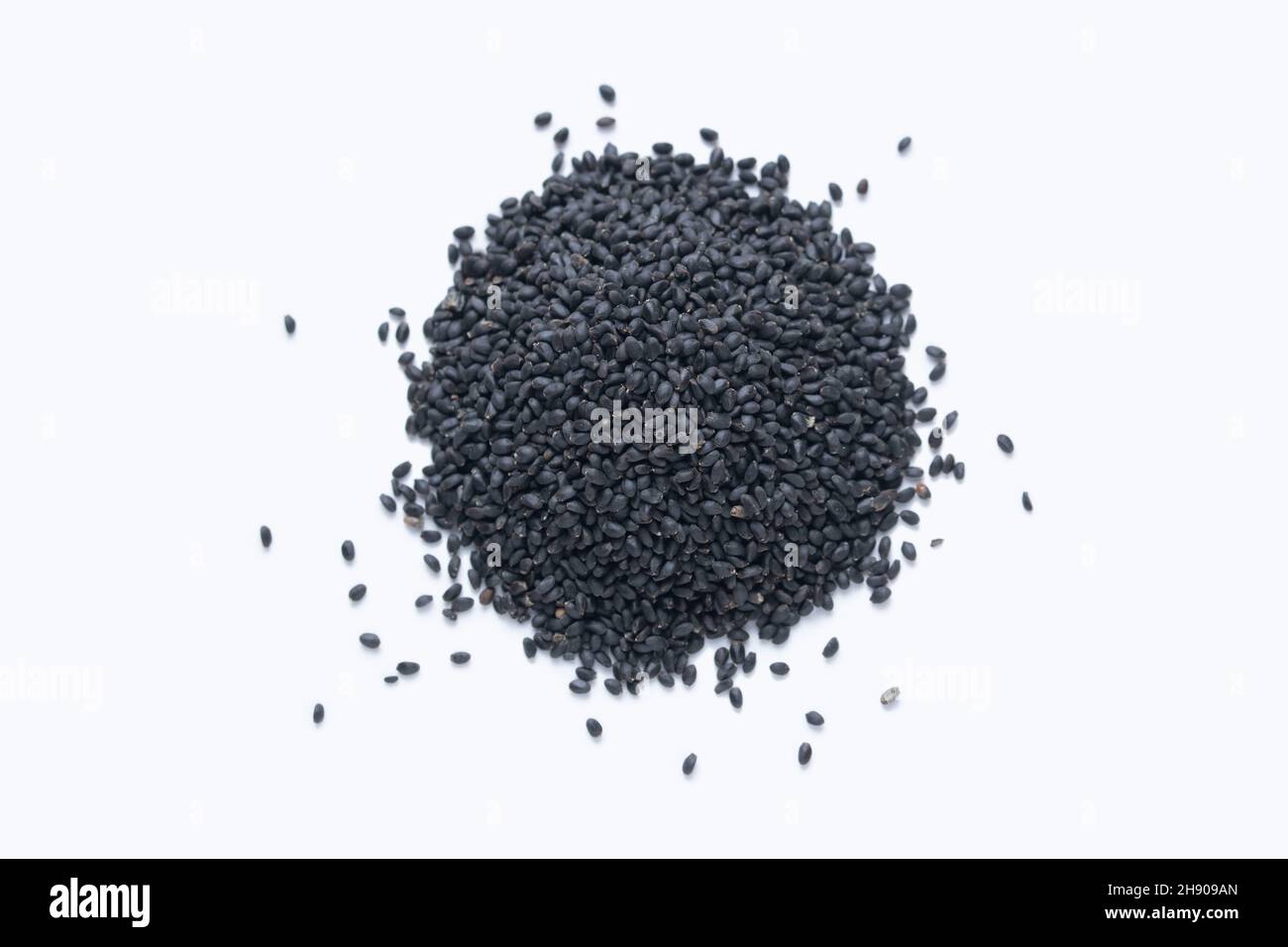 Black mustard seeds, Brassica nigra,  Satara, Maharashtra, India Stock Photo