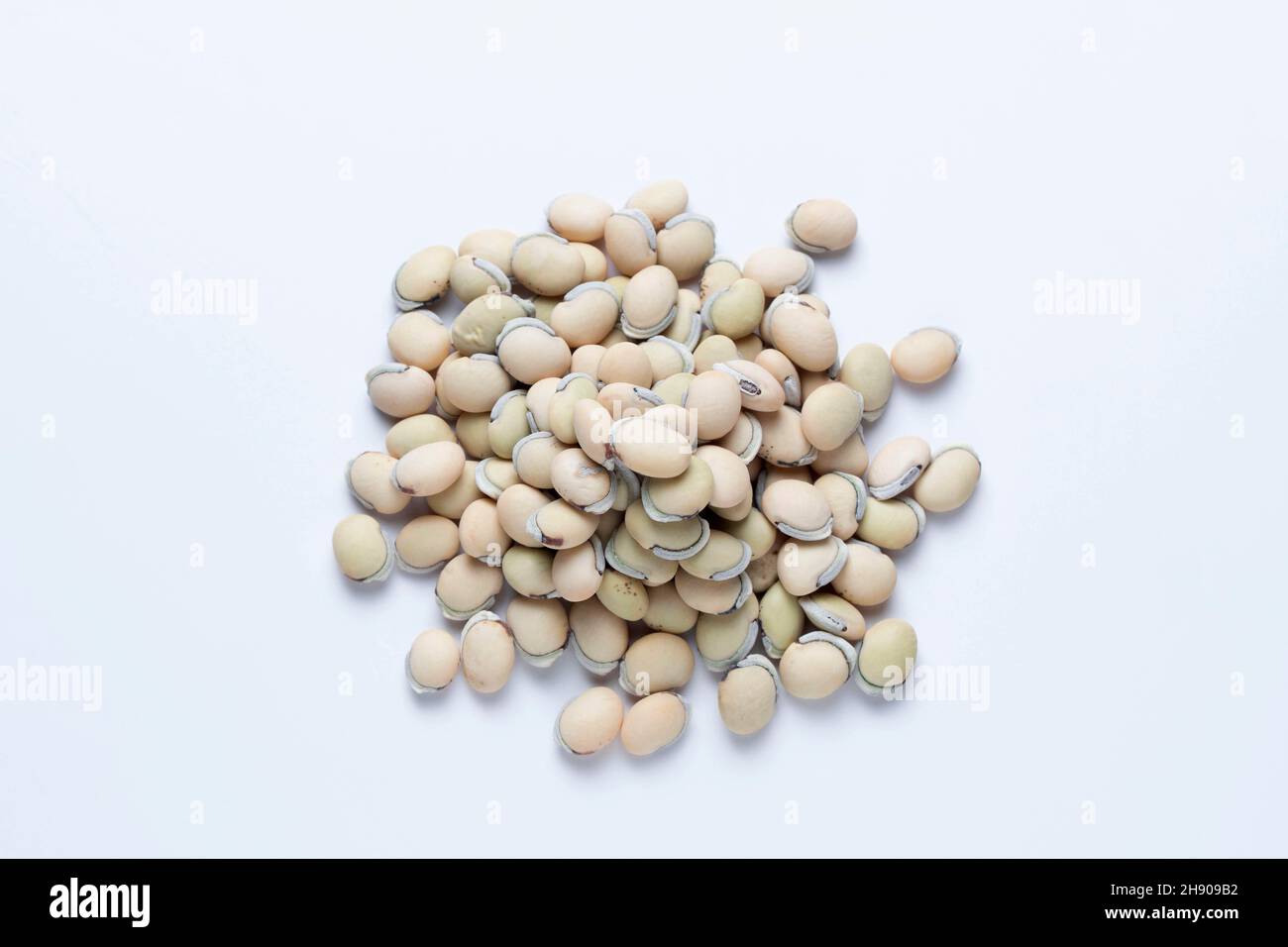 Val seeds or beans, Pawata Satara, Maharashtra, India Stock Photo