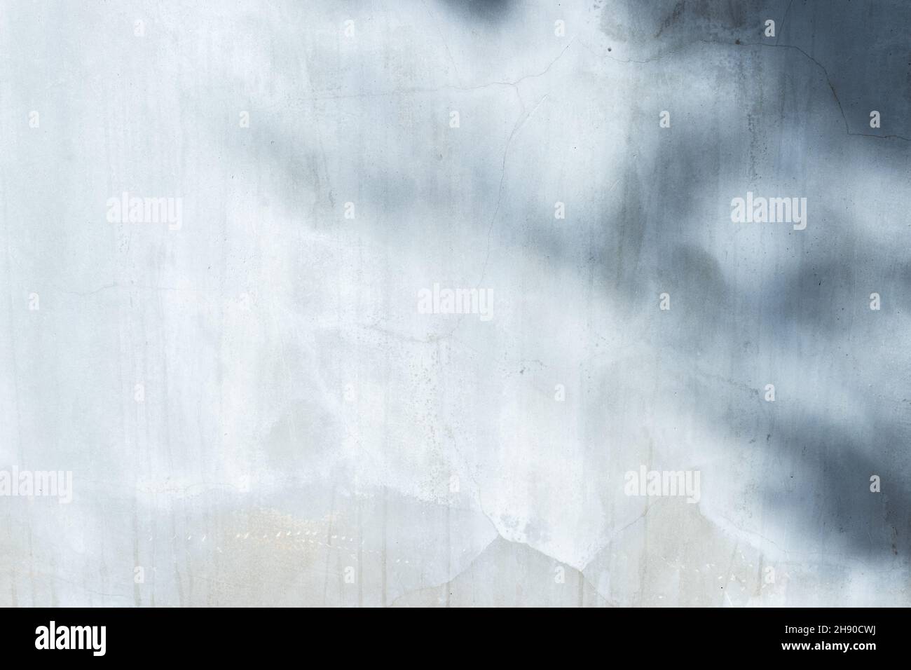 concrete or cement material and leaf shadow on abstract wall background texture. Stock Photo