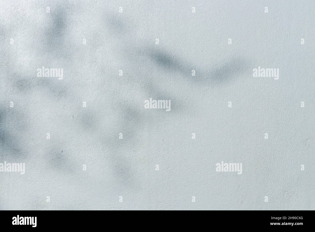 concrete or cement material and leaf shadow on abstract wall background texture. Stock Photo