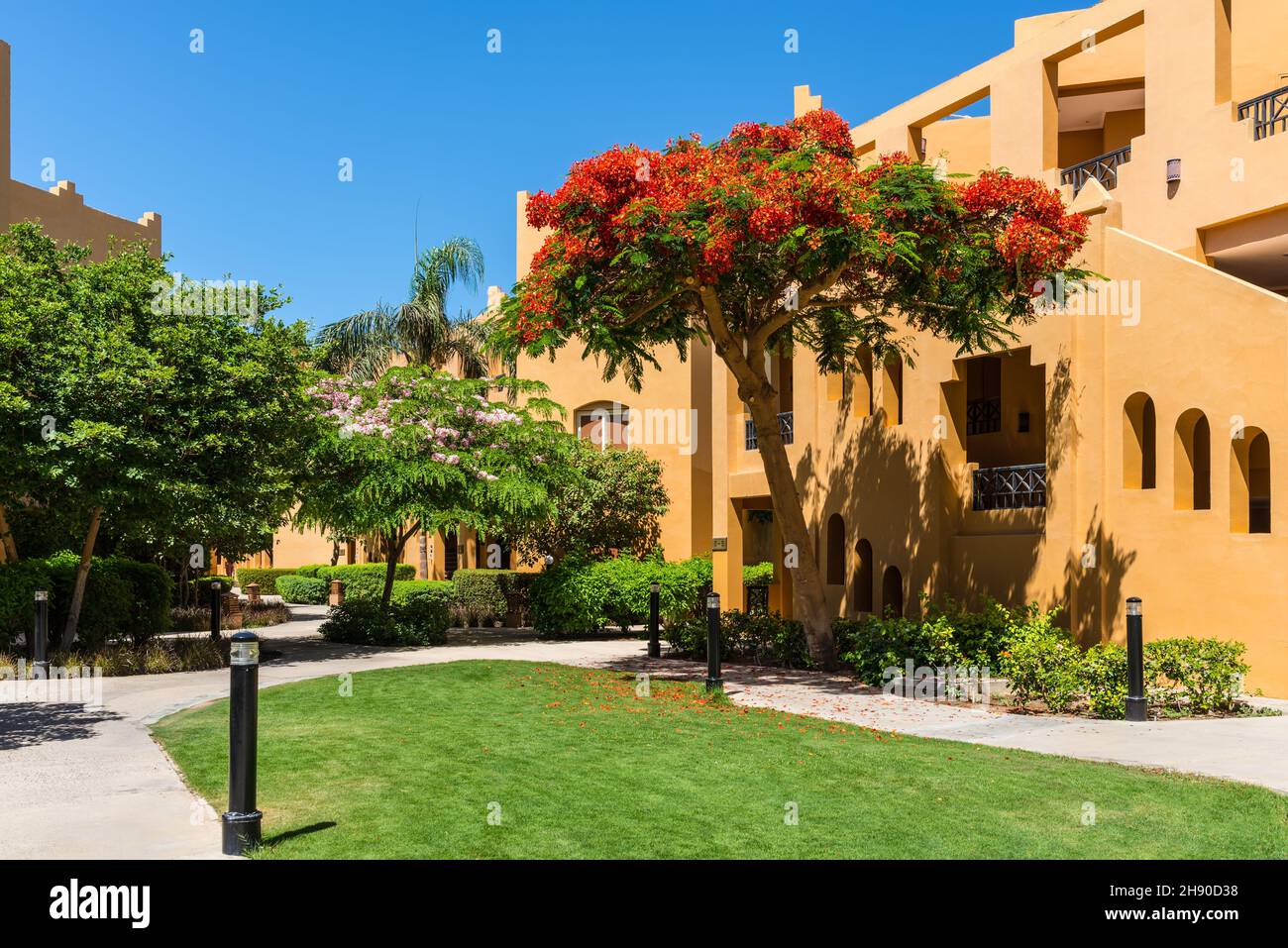 Hurghada, Egypt - May 26, 2021: View of the hotel's villas and flowering tree of the Stella Di Mare Beach Resort and Spa located in Makadi Bay, which Stock Photo